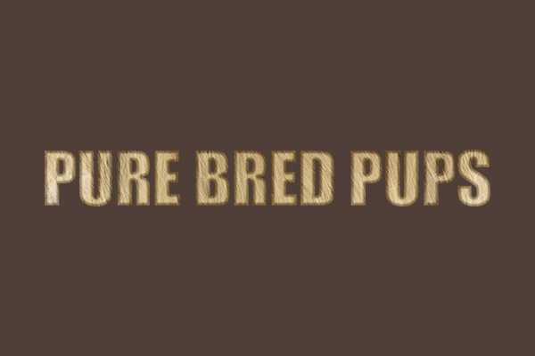 Puppies