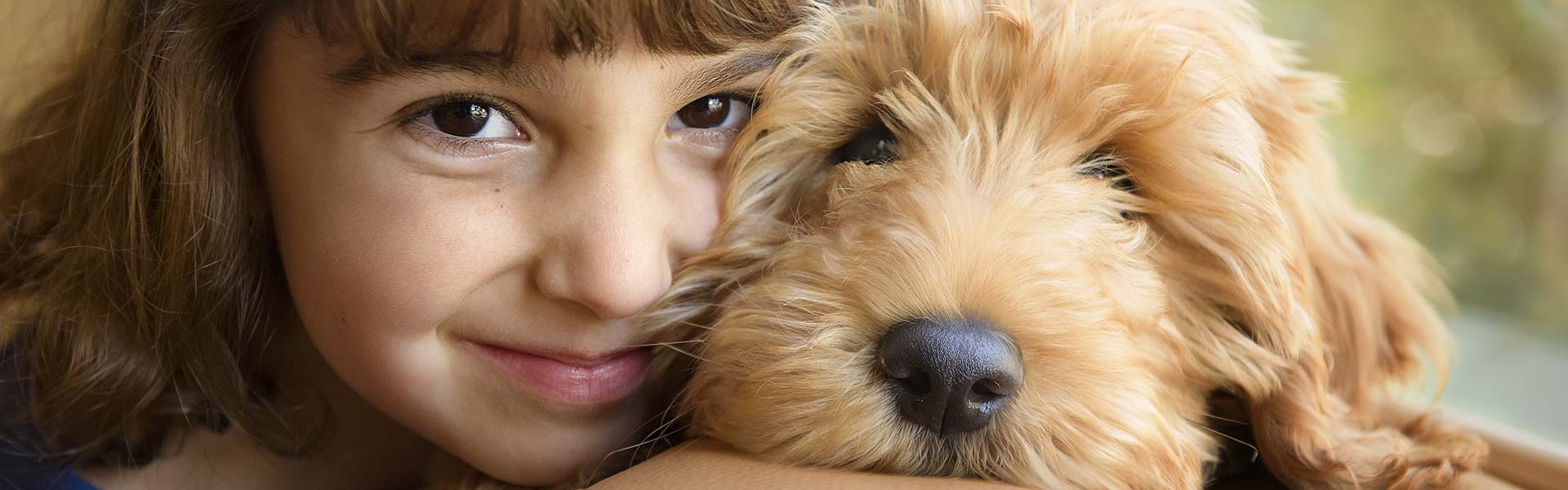 Purebred Pups Testimonials