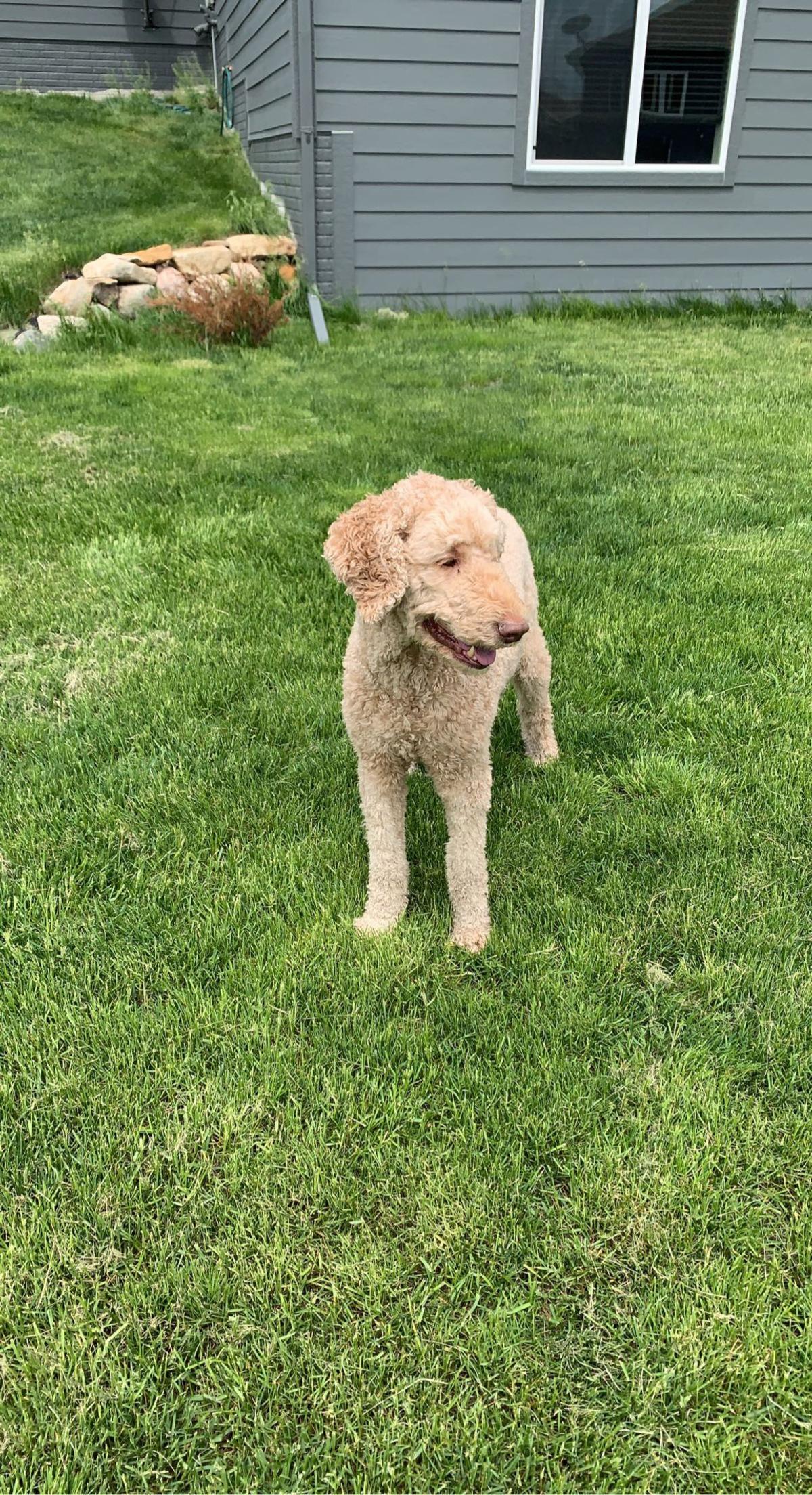 Sabrina