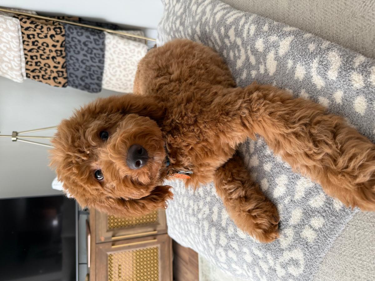 Malea and Jon Wenger