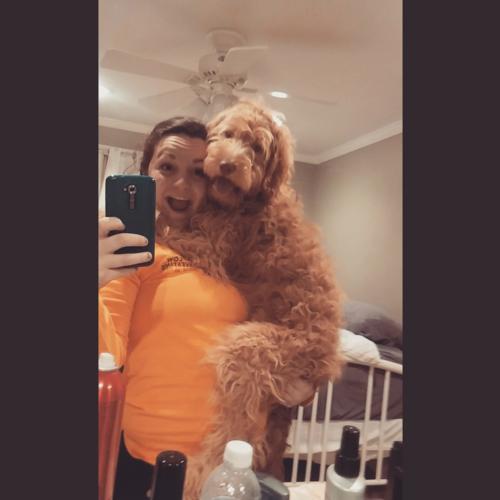Finley the Goldendoodle