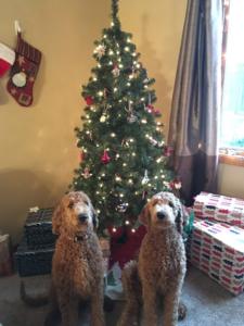 Lola and Phoebe